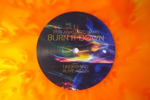 Burn It Down (12)